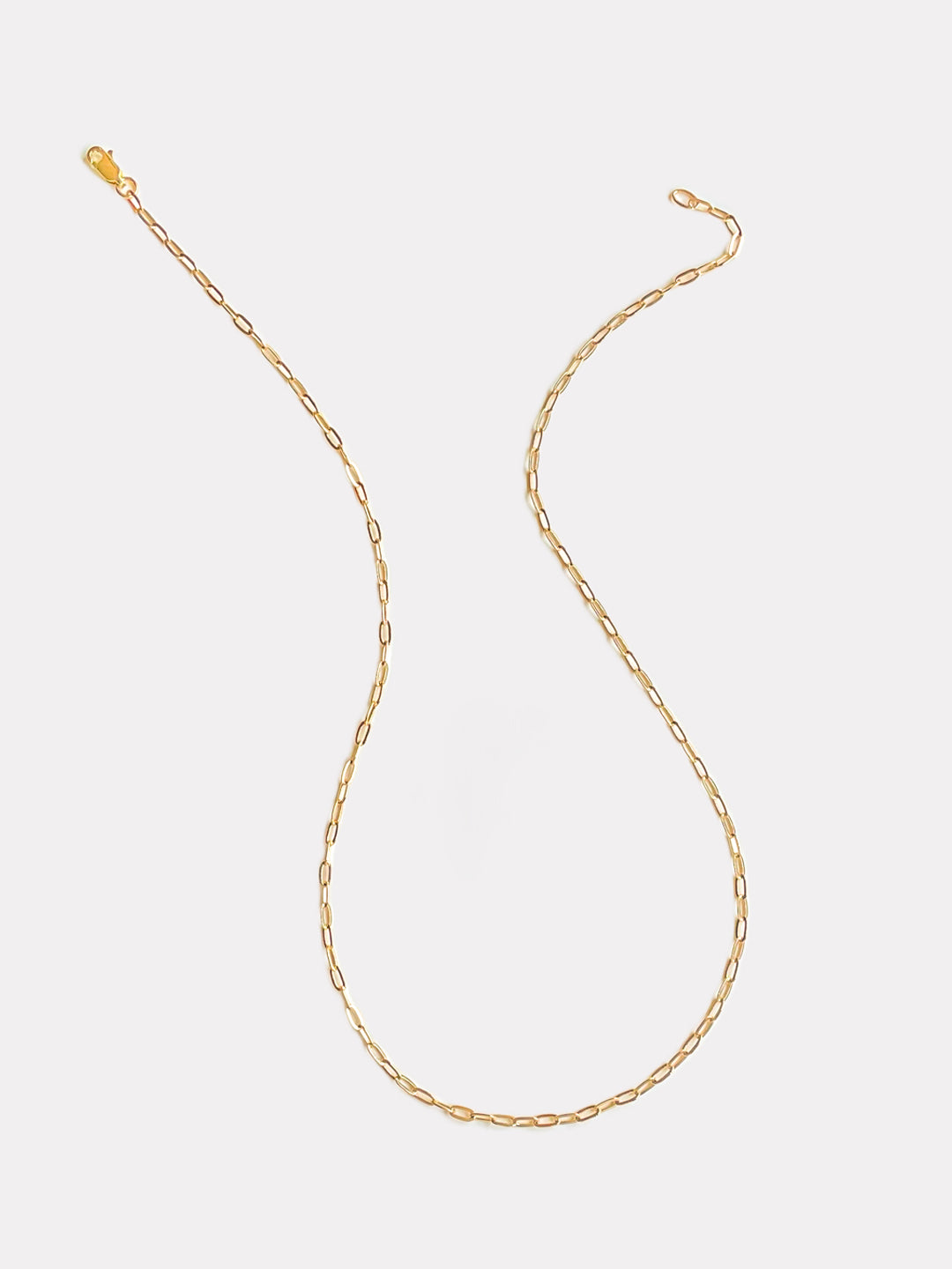 Delfina Chain
