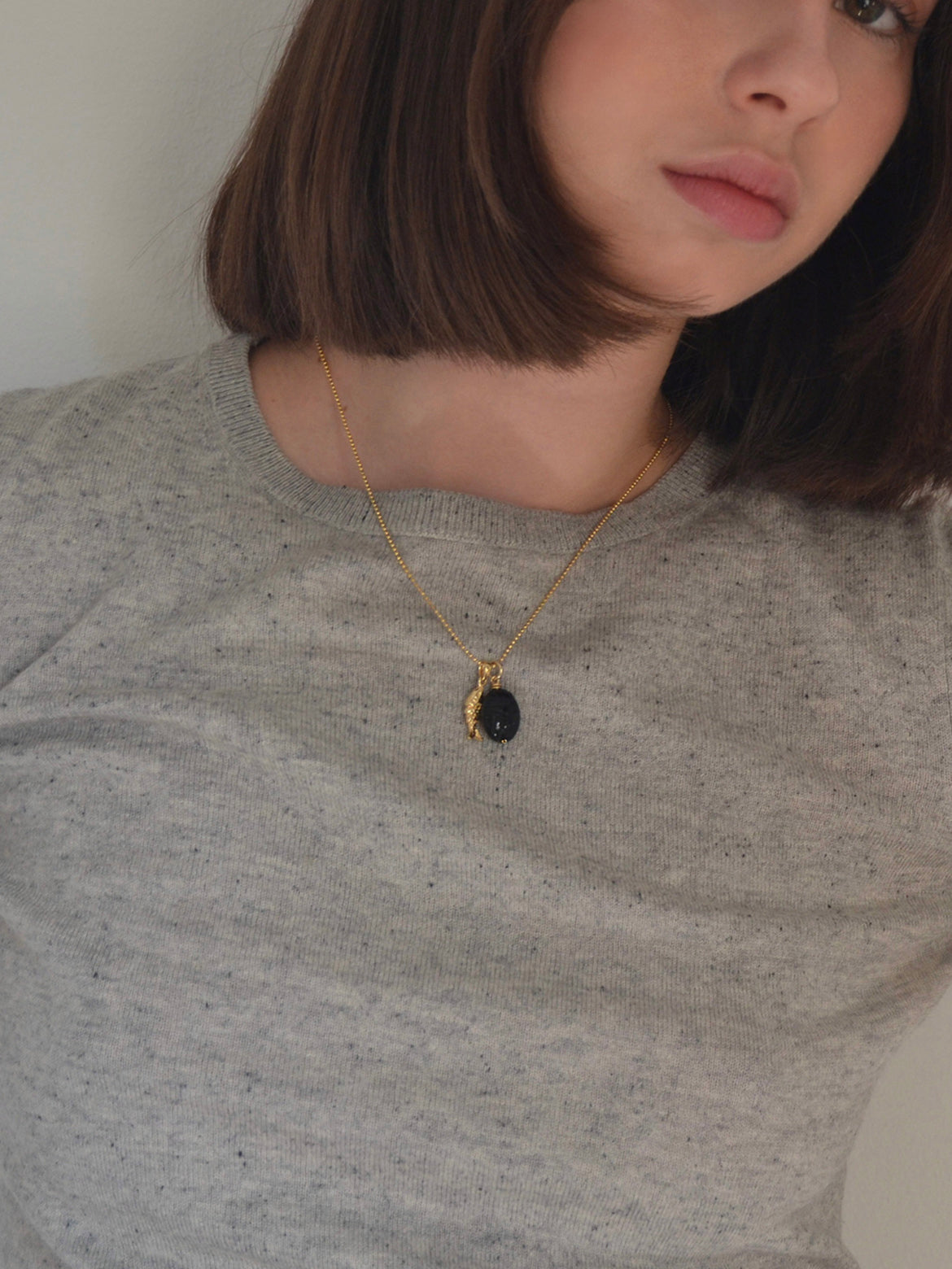 Black Onyx Beetle