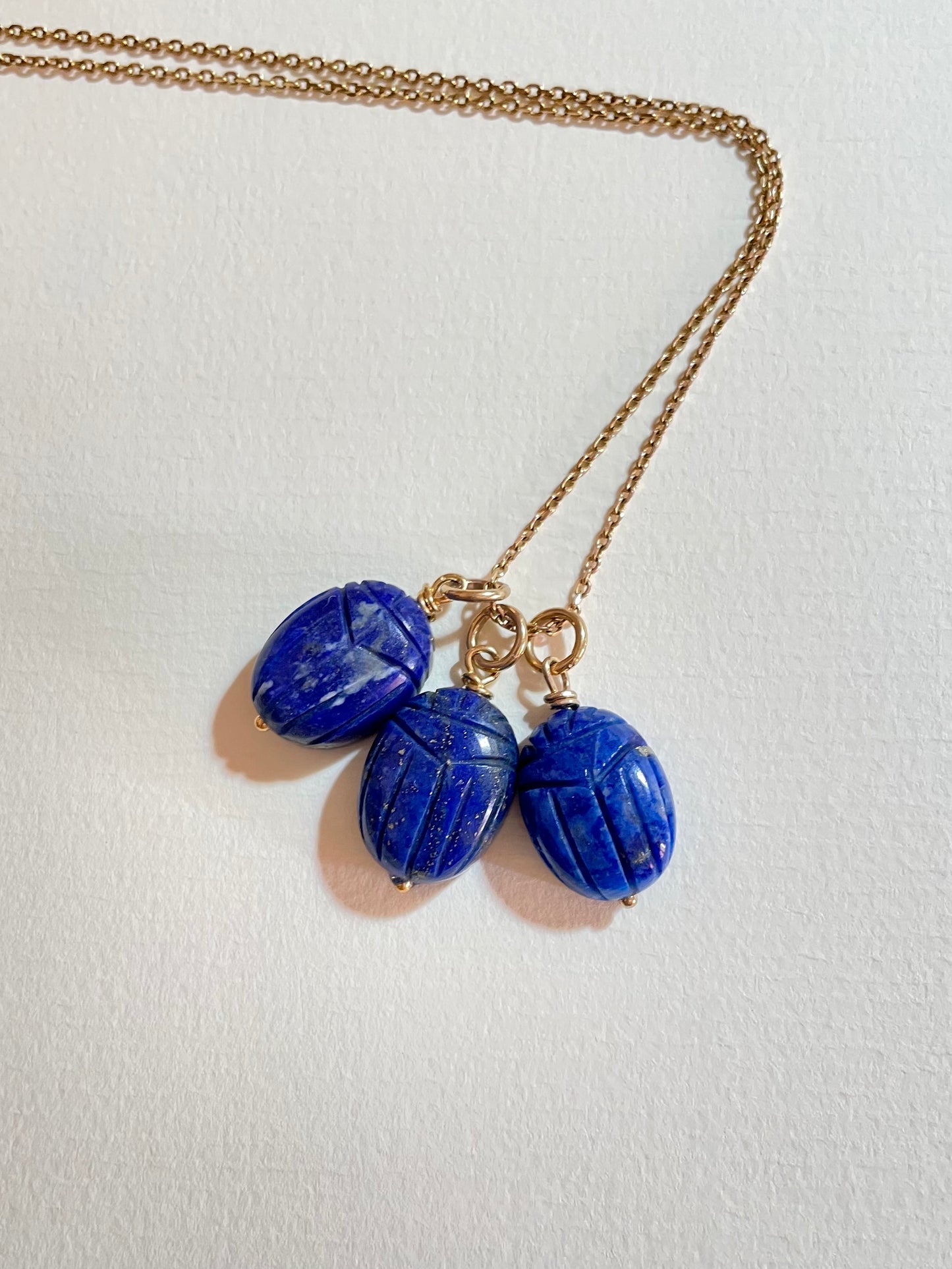 Lapis Lazuli Beetle