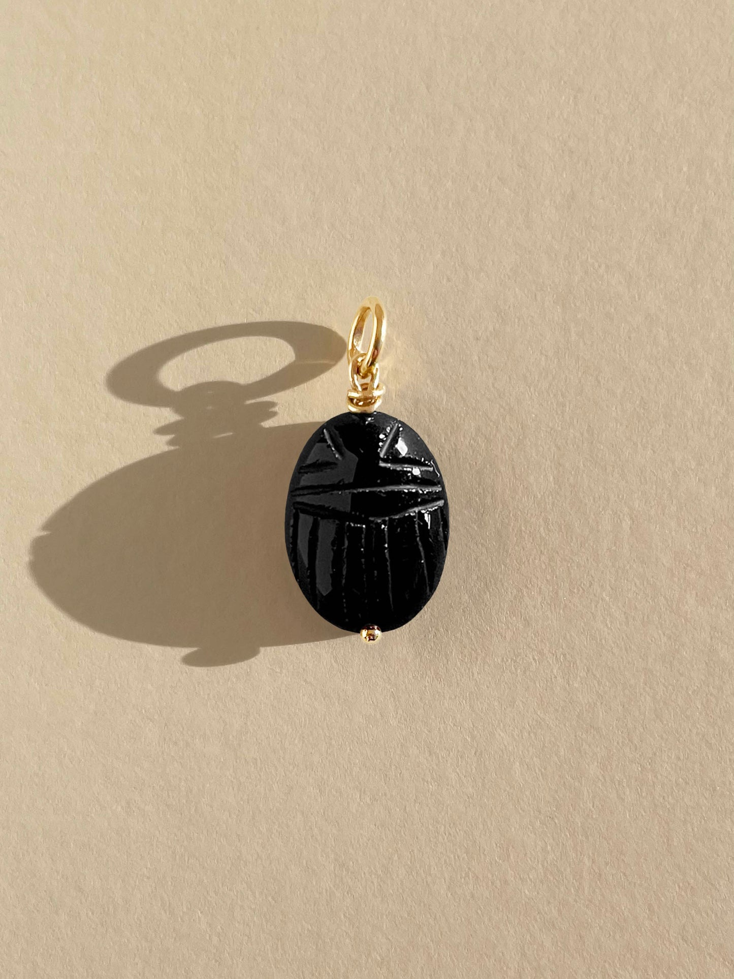 Black Onyx Beetle