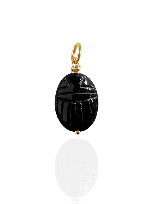 Black Onyx Beetle