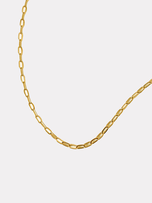 Delfina Chain